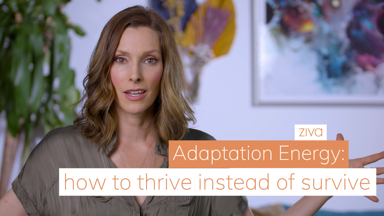 Adaption Energy: How to Thrive Instead of Survive