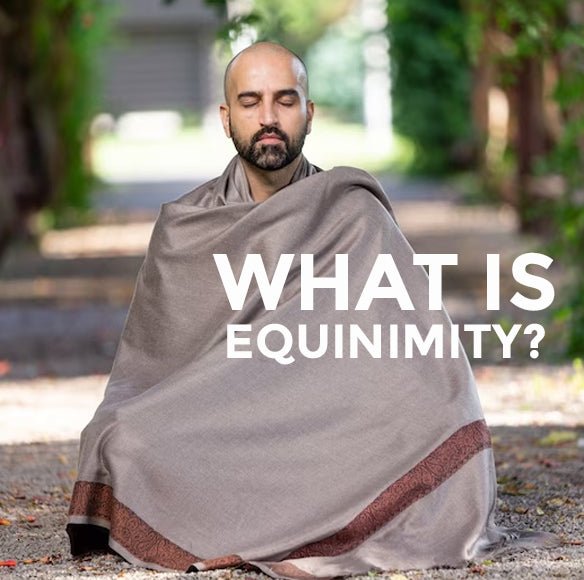 What Is Equinimity? Meditation and Mindfulness In Everyday Life. – OmShantiCrafts