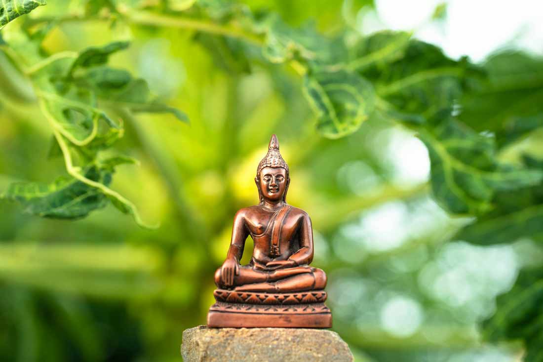 Moksha: the Proven Path to Spiritual Enlightenment